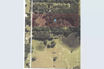 41739 Thomas Boat Landing Road, Umatilla, FL 32784 - Photo 10
