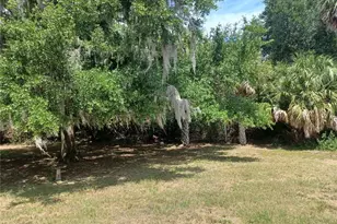805 Velma Ct, Tavares, FL 32778 - Photo 4