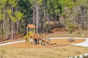 6334 Wild Persimmon Way, Winter Garden, FL 34787 - Photo 2