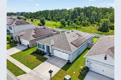 1351 Fox Squirrel Drive, Davenport, FL 33897 - Photo 38