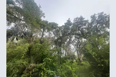 Ne 32nd Street, Silver Springs, FL 34488 - Photo 2