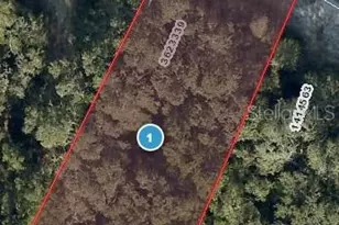 Redbud Rd, Lady Lake, FL 32159 - Photo 1