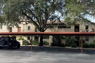 4300 Baywood Blvd, Mount Dora, FL 32757 - Photo 14
