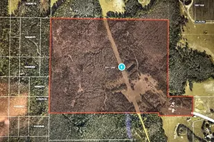 5345 S Fork Ranch Dr, Clermont, FL 34714 - Photo 30