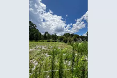 5345 S Fork Ranch Drive, Clermont, FL 34714 - Photo 26