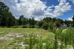 5345 S Fork Ranch Dr, Clermont, FL 34714 - Photo 26