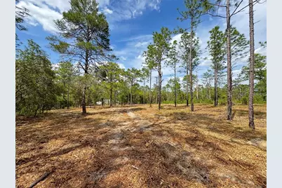 Sw Edgewater Boulevard, Dunnellon, FL 34431 - Photo 6