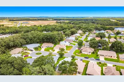 5859 Princess Caroline Place, Leesburg, FL 34748 - Photo 48