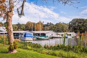 102 N Clayton St, Mount Dora, FL 32757 - Photo 46
