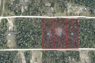 24607 Polar Bear Rd, Paisley, FL 32767 - Photo 50