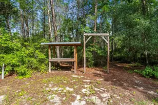 24607 Polar Bear Rd, Paisley, FL 32767 - Photo 42