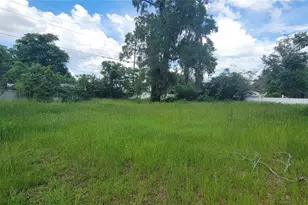 4651 SE 135th Pl, Summerfield, FL 34491 - Photo 32