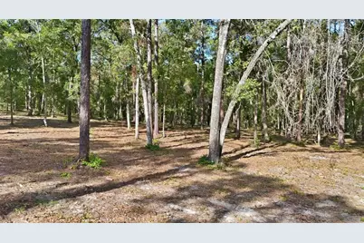 5230 S Robert Blake Avenue, Inverness, FL 34452 - Photo 6