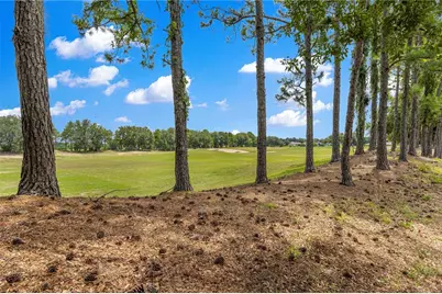 27001 White Plains Way, Leesburg, FL 34748 - Photo 38
