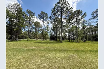 35135 Pinegate Trail, Eustis, FL 32736 - Photo 10