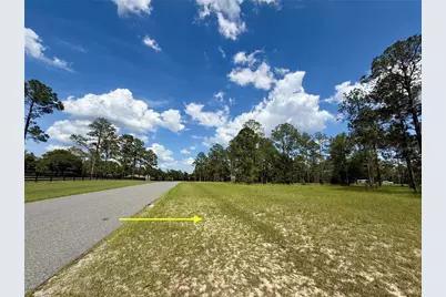 35135 Pinegate Trail, Eustis, FL 32736 - Photo 12