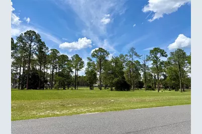 35135 Pinegate Trail, Eustis, FL 32736 - Photo 2