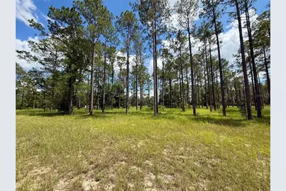 35135 Pinegate Trail, Eustis, FL 32736 - Photo 22