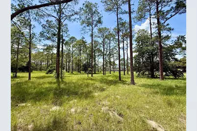 35135 Pinegate Trail, Eustis, FL 32736 - Photo 8