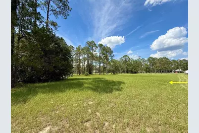 35135 Pinegate Trail, Eustis, FL 32736 - Photo 24
