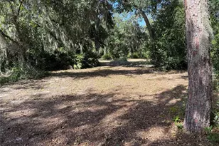 3113 Bright Lake Cir, Groveland, FL 34736 - Photo 1