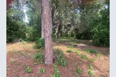 3113 Bright Lake Circle, Groveland, FL 34736 - Photo 4
