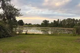 10699 Quiet Cove Rd, Howey in the Hills, FL 34737 - Photo 20