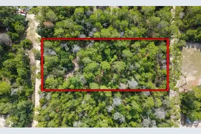 Berry Street, Paisley, FL 32767 - Photo 1