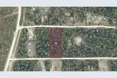 Berry Street, Paisley, FL 32767 - Photo 2
