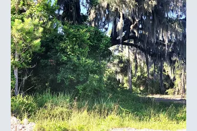 27551 Jackson Court, Okahumpka, FL 34762 - Photo 4