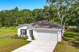 50 Bay Rd, Ocklawaha, FL 32179 - Photo 2
