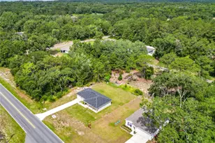 50 Bay Rd, Ocklawaha, FL 32179 - Photo 10