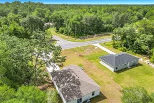 50 Bay Rd, Ocklawaha, FL 32179 - Photo 48