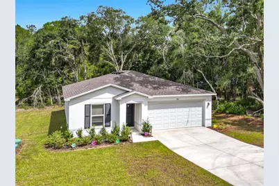 50 Bay Road, Ocklawaha, FL 32179 - Photo 12