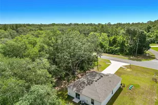 50 Bay Rd, Ocklawaha, FL 32179 - Photo 46