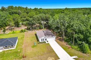 50 Bay Rd, Ocklawaha, FL 32179 - Photo 50
