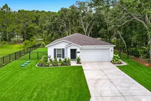 50 Bay Rd, Ocklawaha, FL 32179 - Photo 1