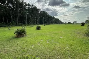 4850 SW 80th Ave, Ocala, FL 34481 - Photo 26