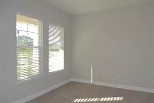7153 Summerlake Groves St, Winter Garden, FL 34787 - Photo 2