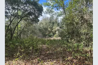 0 South Lake Hiawatha Drive, Lady Lake, FL 32159 - Photo 8