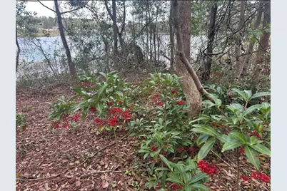 0 South Lake Hiawatha Drive, Lady Lake, FL 32159 - Photo 4