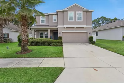 2514 Plumadore Drive, Grand Island, FL 32735 - Photo 1