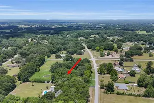 2800 SE 157th Lane Rd, Summerfield, FL 34491 - Photo 4