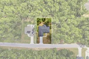 8727 N Spikes Way, Dunnellon, FL 34434 - Photo 6