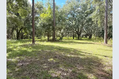 Bonsmara Drive, Groveland, FL 34736 - Photo 18