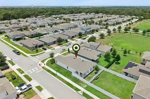 455 Winter Solstice Ln, Mount Dora, FL 32757 - Photo 42
