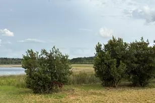 13225 Plum Lake Cir, Minneola, FL 34715 - Photo 2