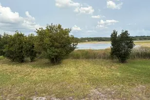 13225 Plum Lake Cir, Minneola, FL 34715 - Photo 6