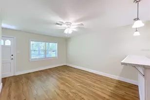 450 Liberty Ave, Mount Dora, FL 32757 - Photo 8