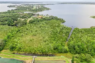 1235 Dora Parc Ln, Mount Dora, FL 32757 - Photo 16